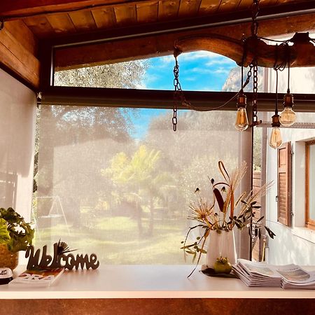 Agritur Fiore D'Ulivo Riva del Garda Dış mekan fotoğraf