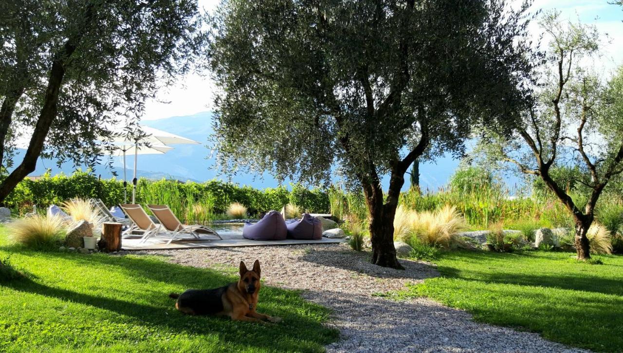 Agritur Fiore D'Ulivo Riva del Garda Dış mekan fotoğraf