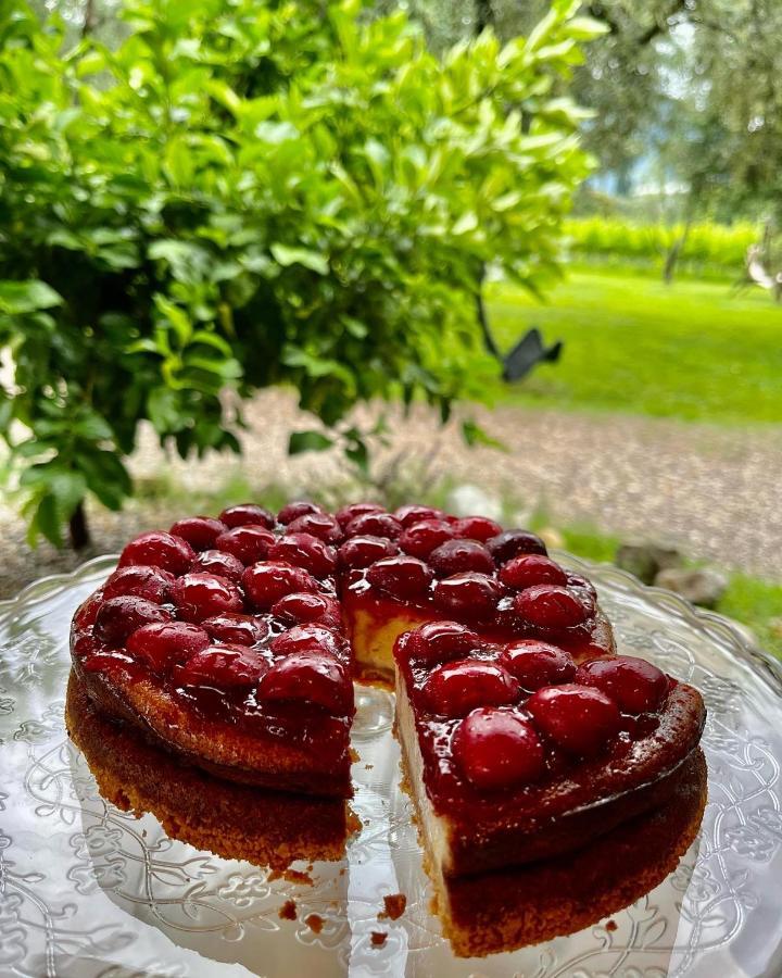 Agritur Fiore D'Ulivo Riva del Garda Dış mekan fotoğraf