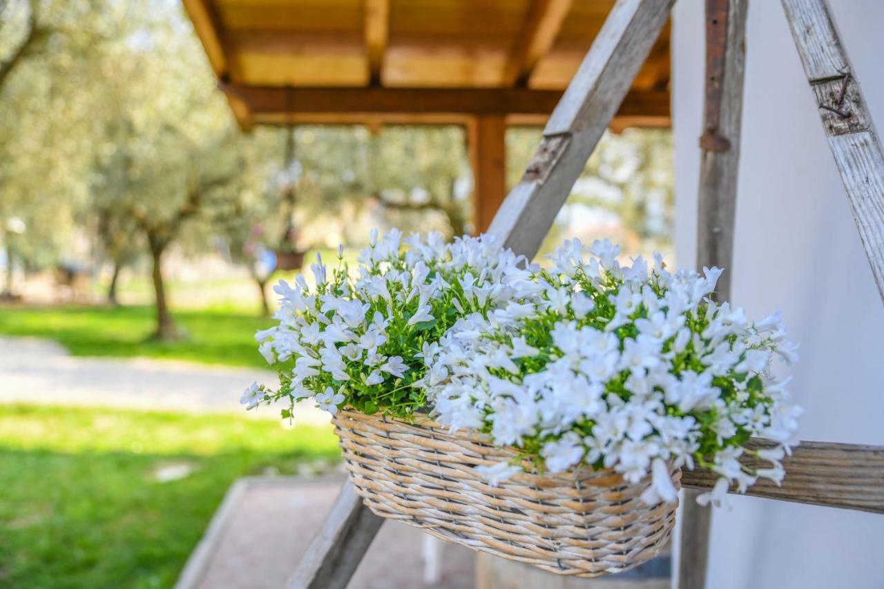 Agritur Fiore D'Ulivo Riva del Garda Dış mekan fotoğraf