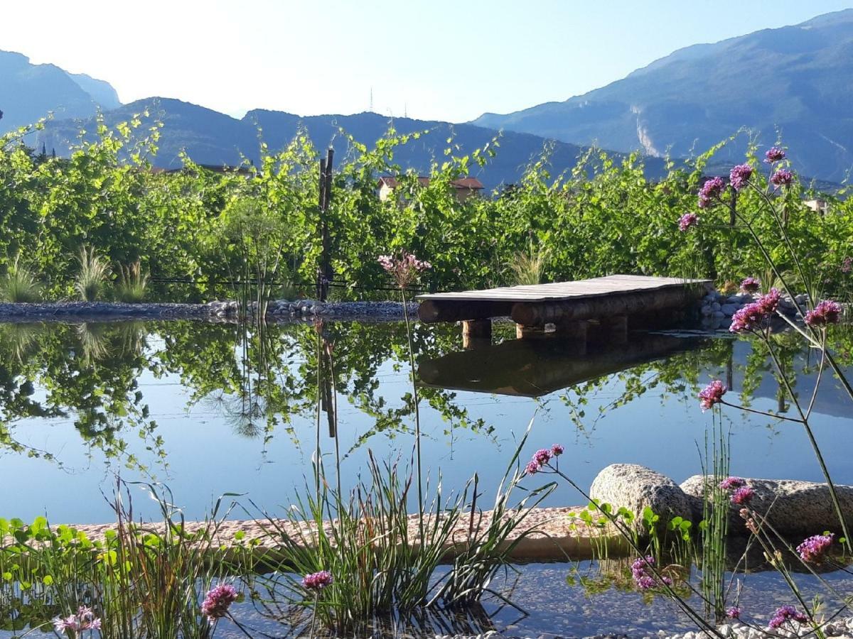 Agritur Fiore D'Ulivo Riva del Garda Dış mekan fotoğraf